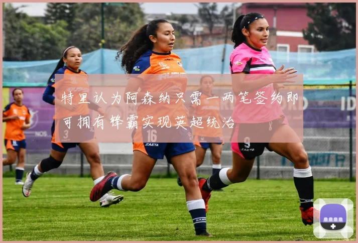 特里认为阿森纳只需一两笔签约即可拥有锋霸实现英超统治